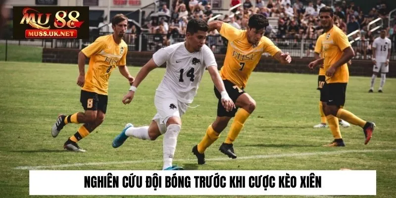 Nghiên cứu đội bóng trước khi cược kèo xiên