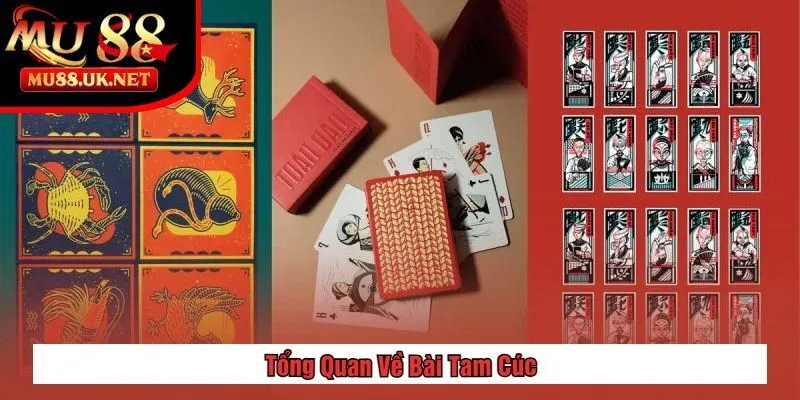 Bài Tam Cúc Là Gì? Hướng Dẫn Cách Chơi Từ A Đến Z