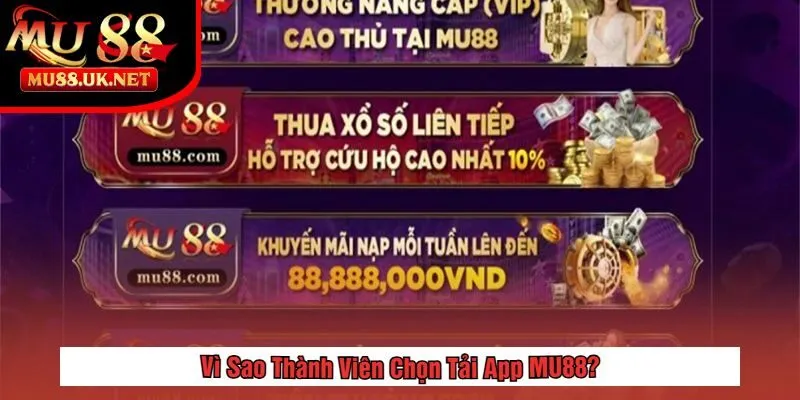 Vì Sao Thành Viên Chọn Tải App MU88?