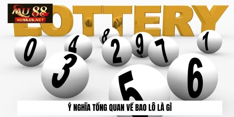 Ý nghĩa tổng quan về bao lô là gì