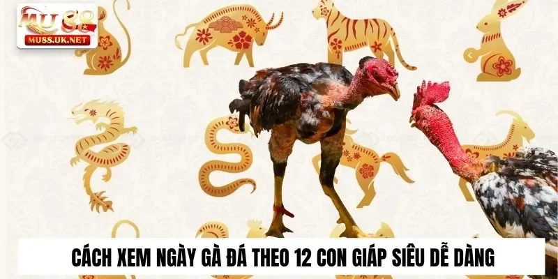 Cách xem ngày gà đá theo 12 con giáp siêu dễ dàng