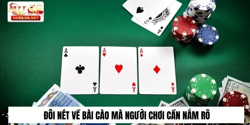 Đôi nét về bài cào