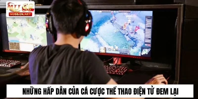 Những hấp dẫn của cá cược thể thao điện tử đem lại