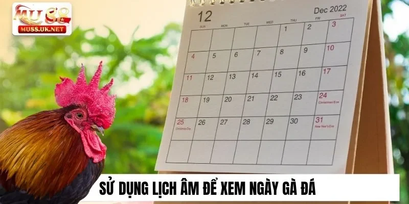 Sử dụng lịch âm để xem ngày gà đá