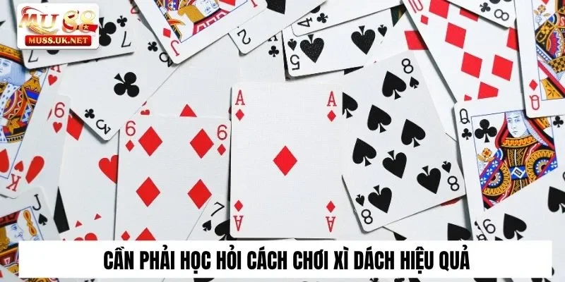 Cần phải học hỏi cách chơi xì dách hiệu quả