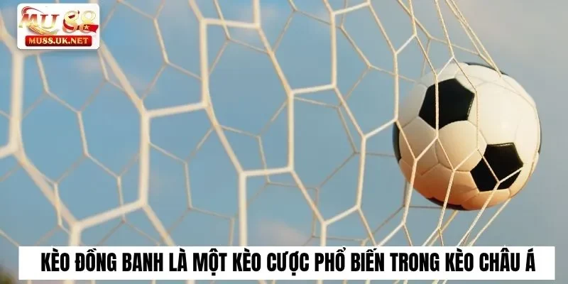 Kèo đồng banh là một kèo cược phổ biến trong kèo châu Á